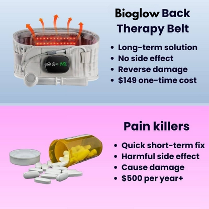 3 in 1 Back Belt